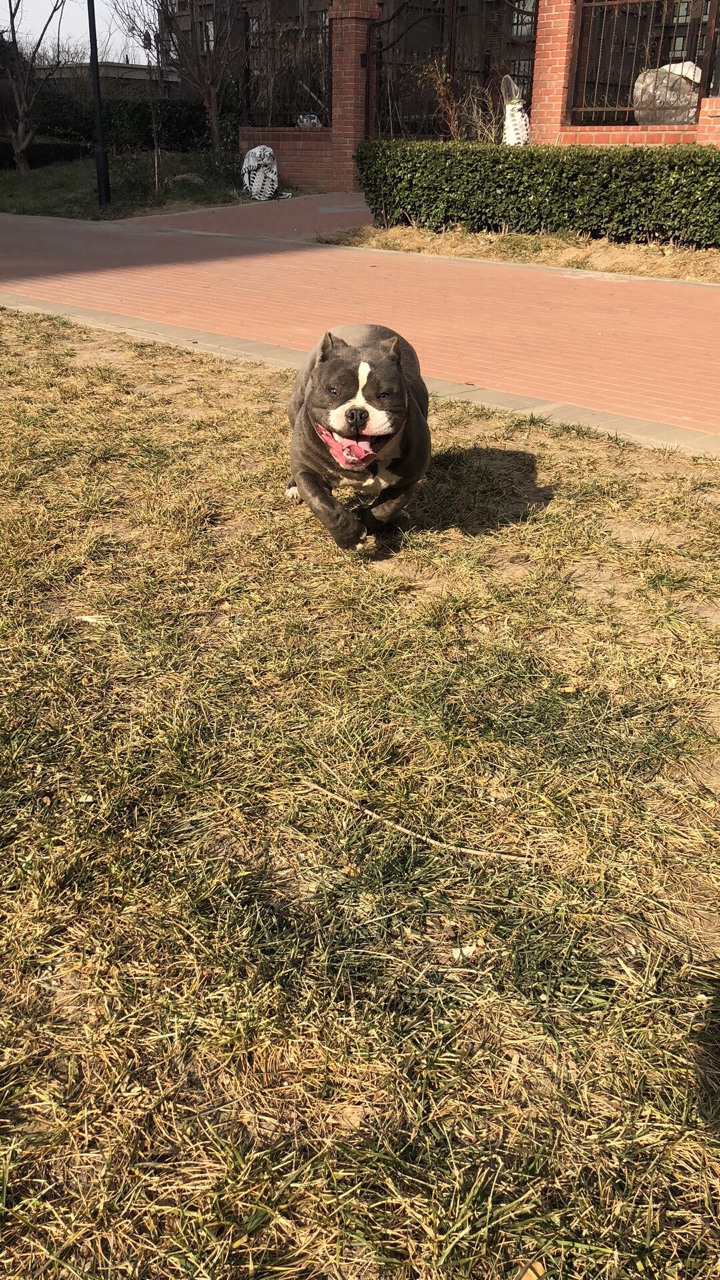 找男友【北京·天津地区】