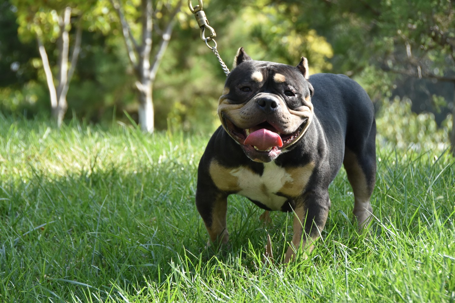 找男友【北京·天津地区】